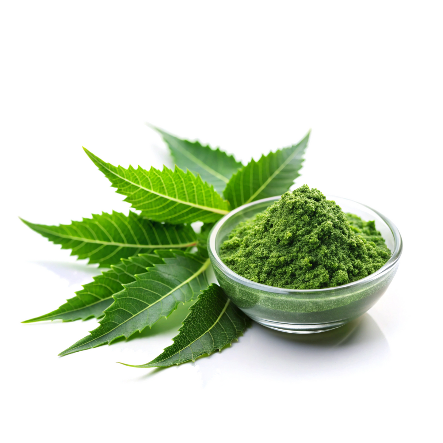 Neem Leaf Powder