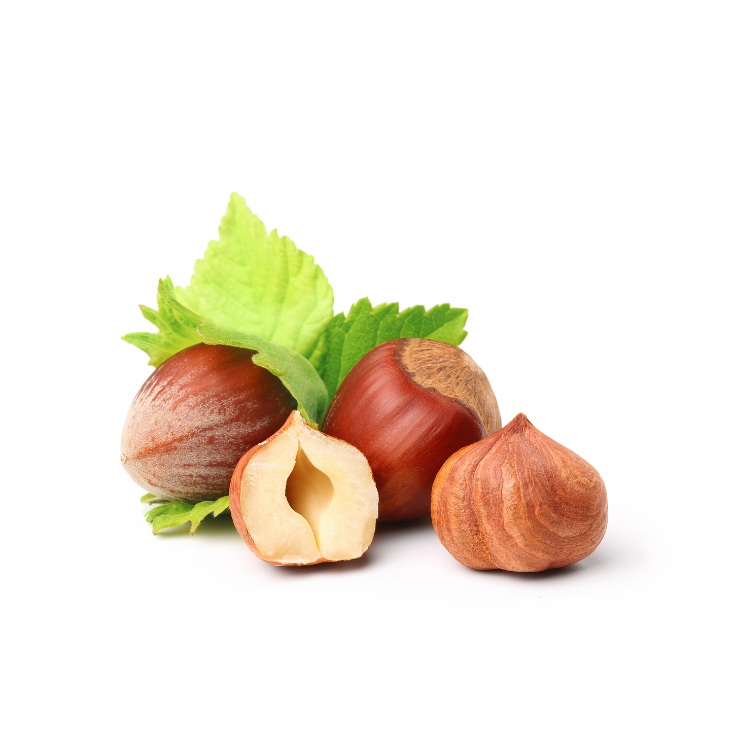 Hazelnuts Raw