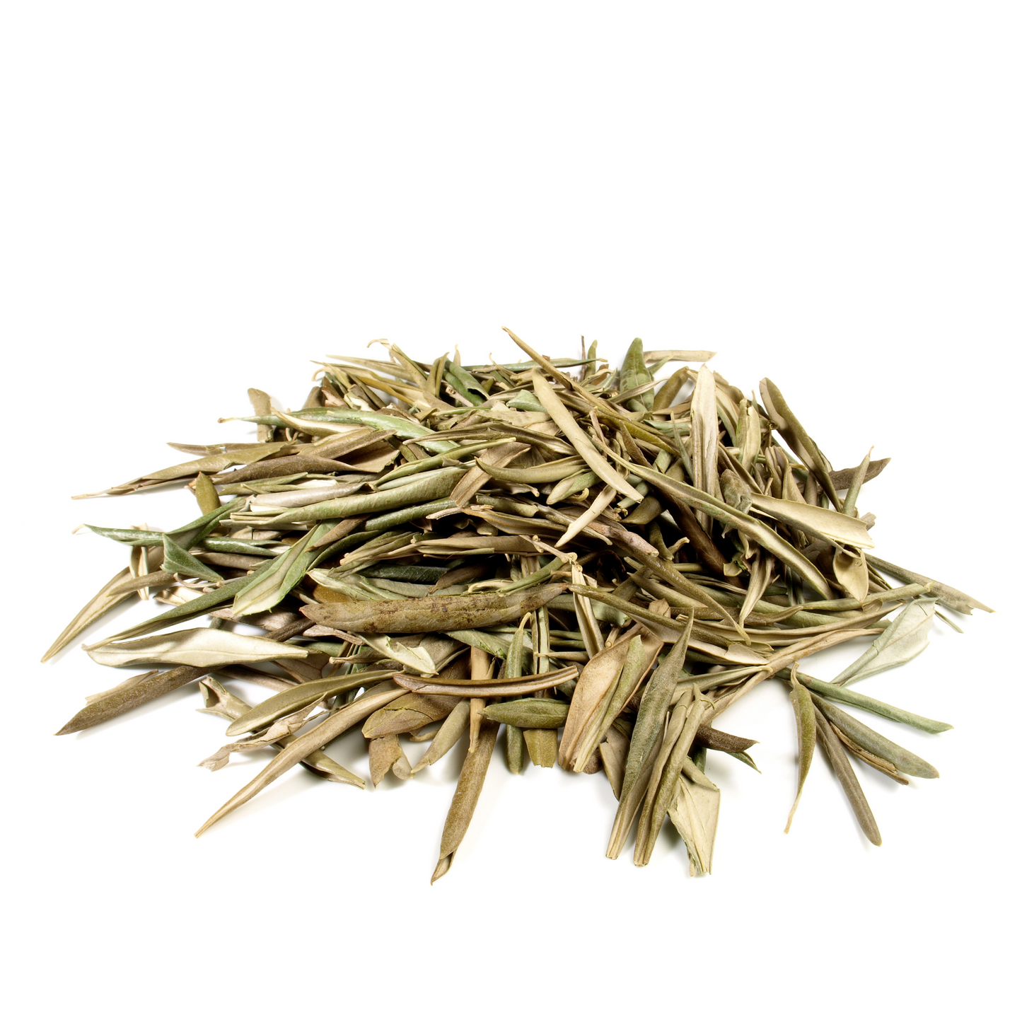 Olive Leaves