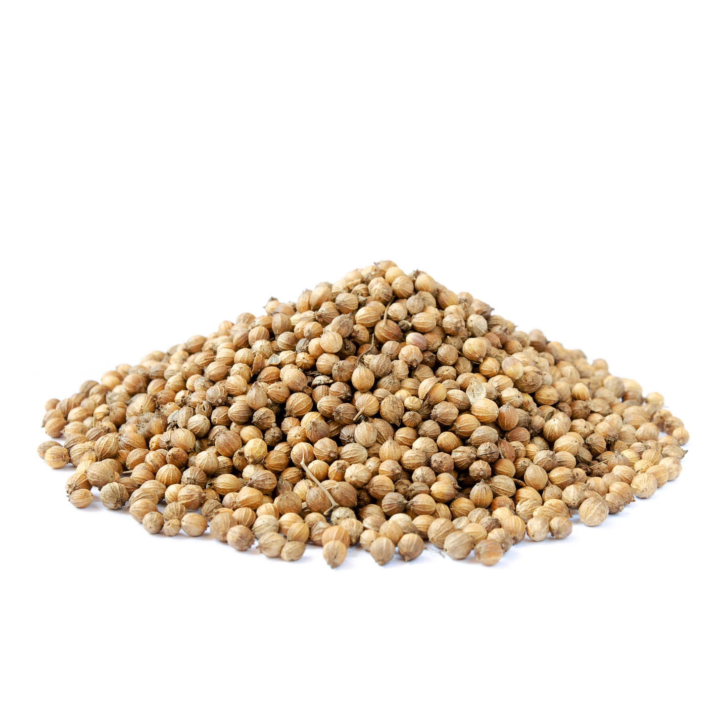 Coriander Seeds