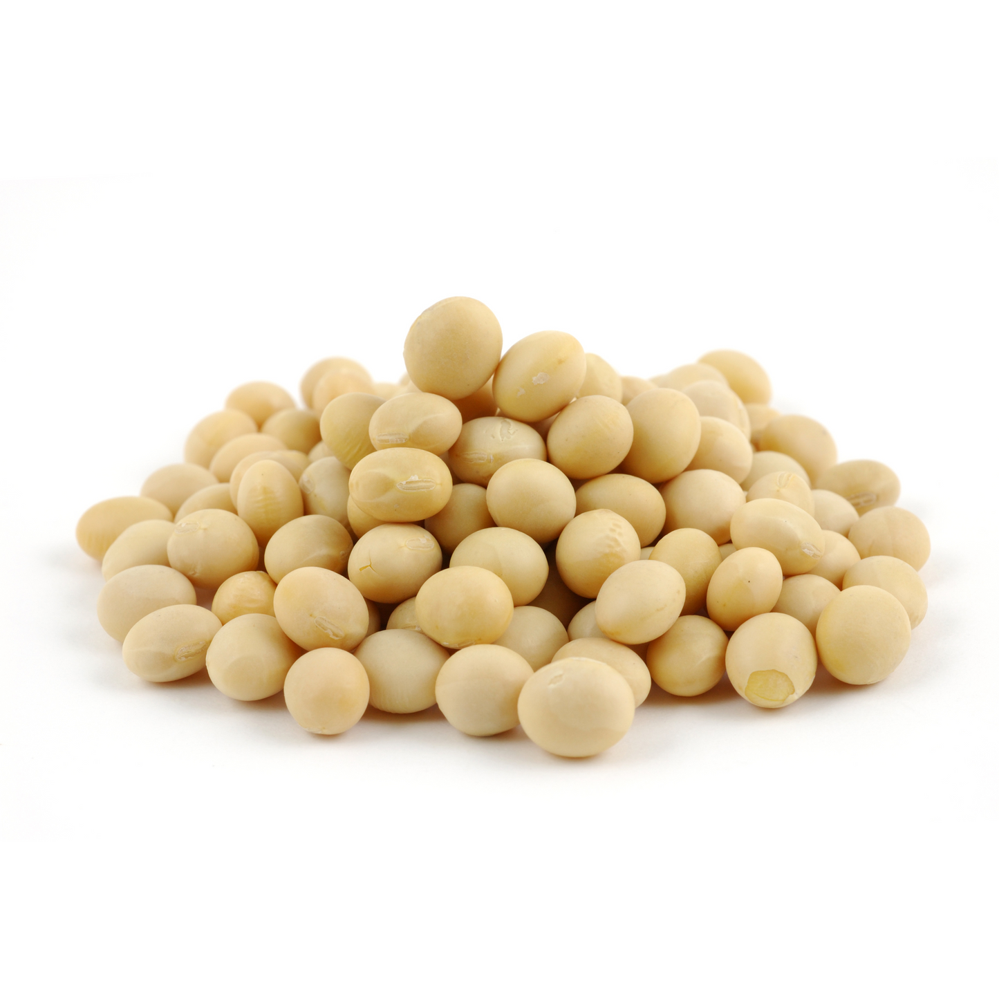 Soy Beans