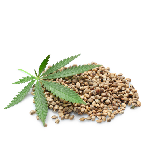 Hemp Seeds