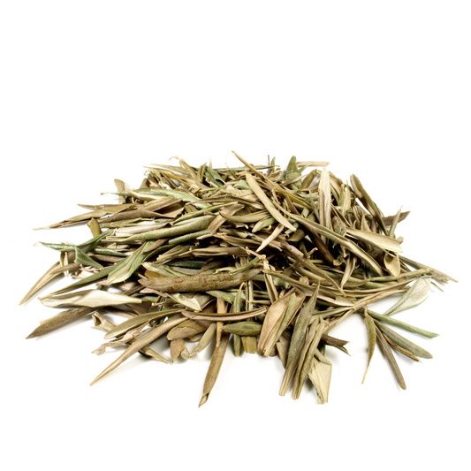 Olive Leaves