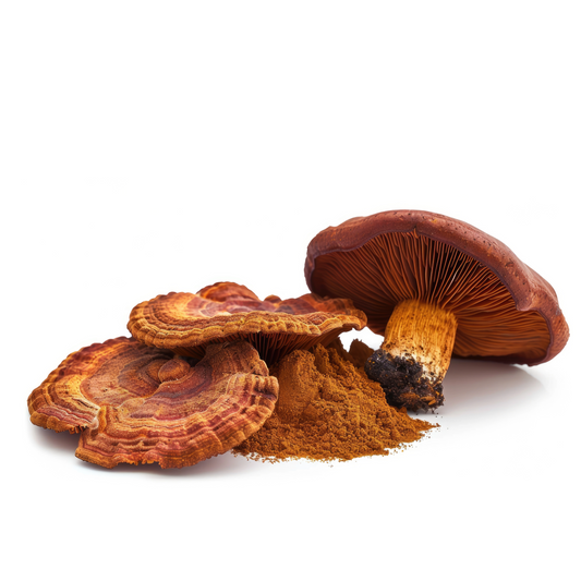 Reishi Mushroom Powder