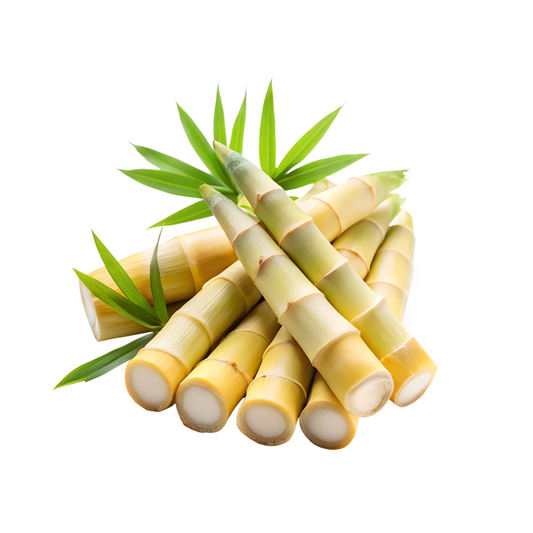 Bamboo Shoots