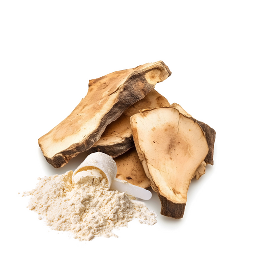 Poria Cocos Mushroom Powder