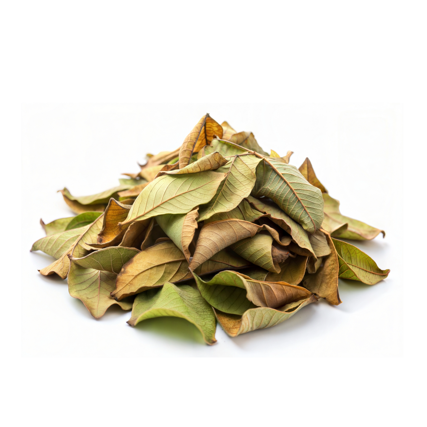 Guava Leaves