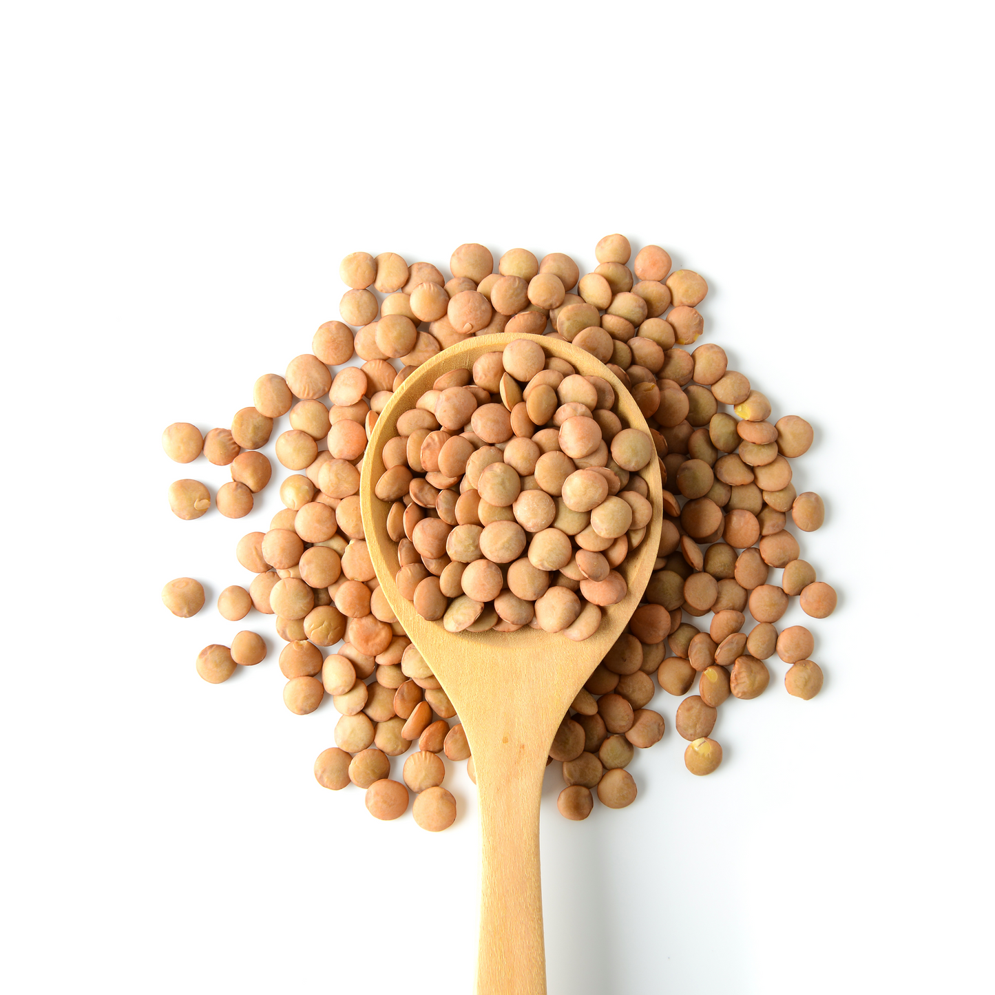 Lentils