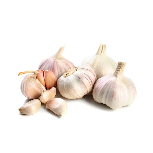 Fresh Garlic